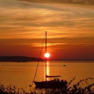 Meet your Posher, Alice